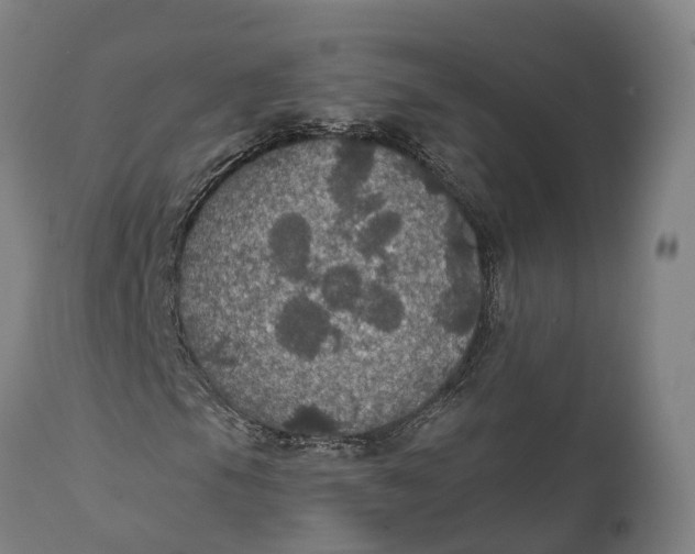 X0000111591105200908061343