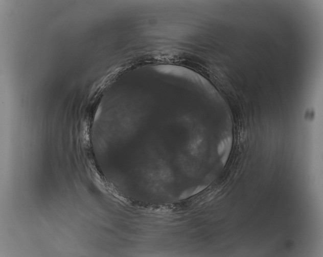 X0000111591106200908061343