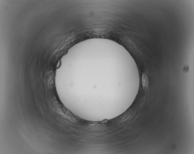 X0000111591107200908061343