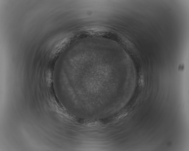 X0000111591108200908061343