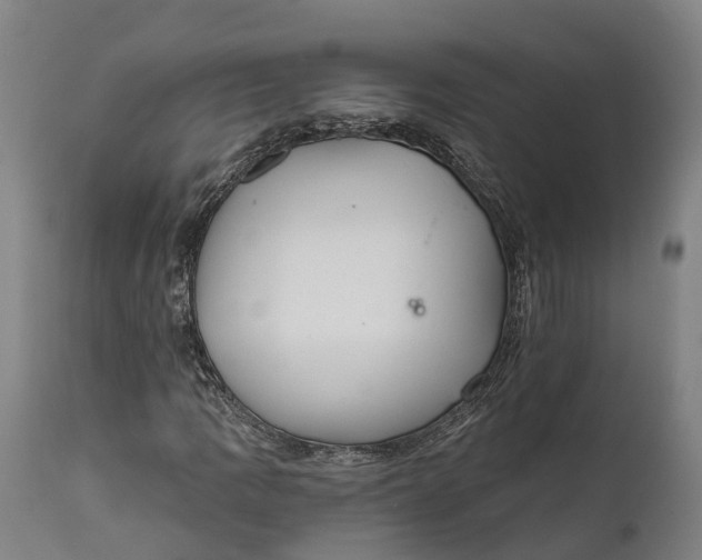 X0000111591109200908061343