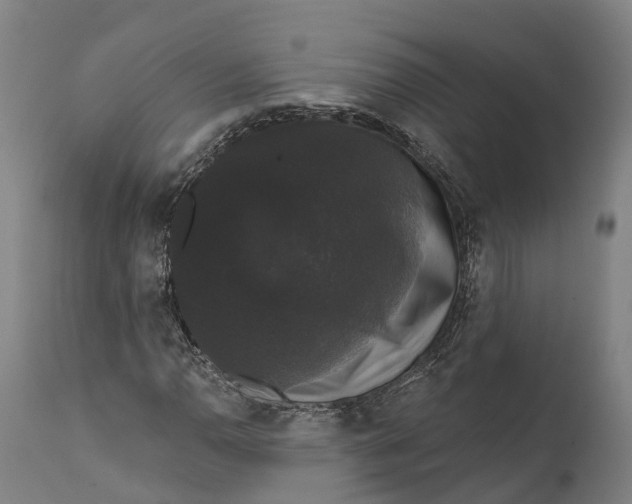 X0000111591110200908061343