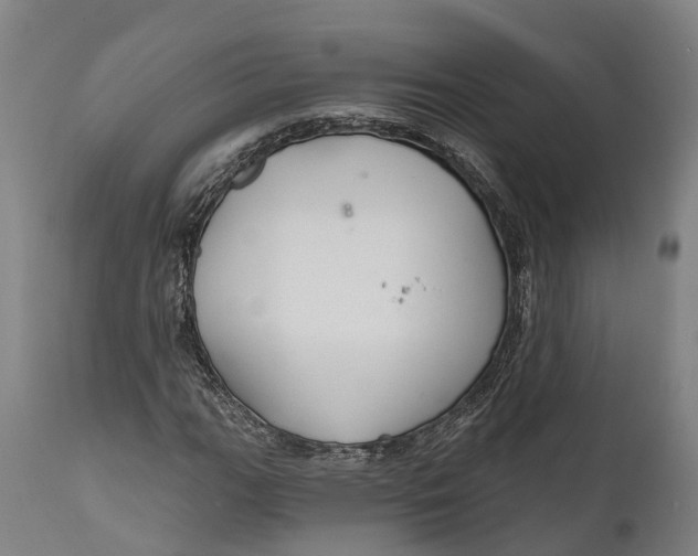 X0000111591111200908061343