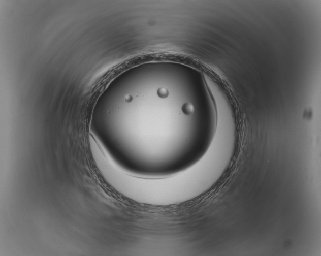 X0000111591112200908061343