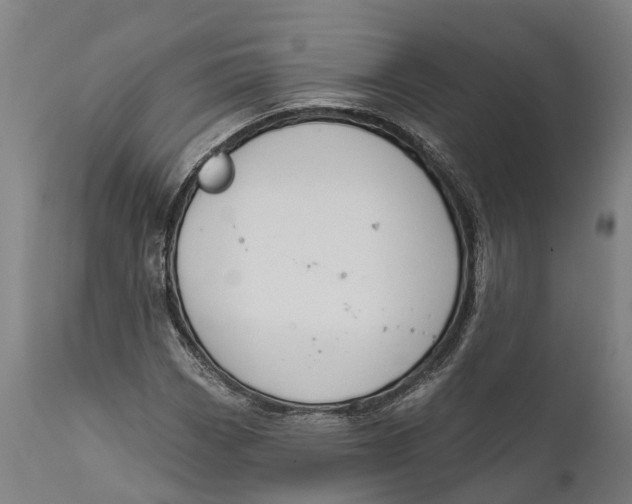 X0000111591113200908061343