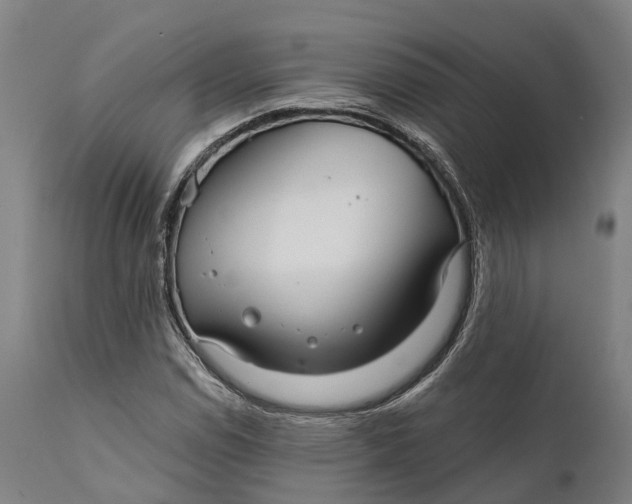 X0000111591114200908061343