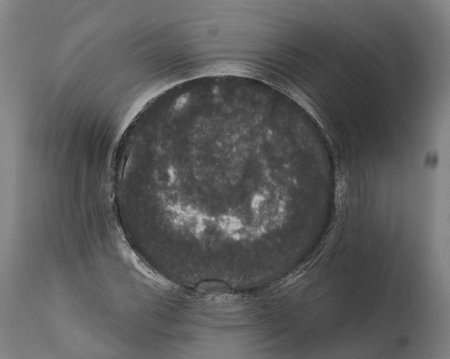 X0000111591116200908061343