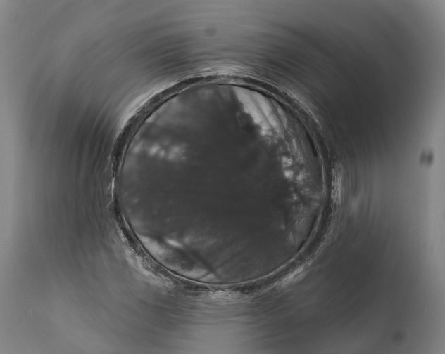 X0000111591117200908061343