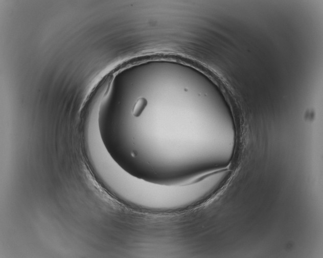 X0000111591118200908061343