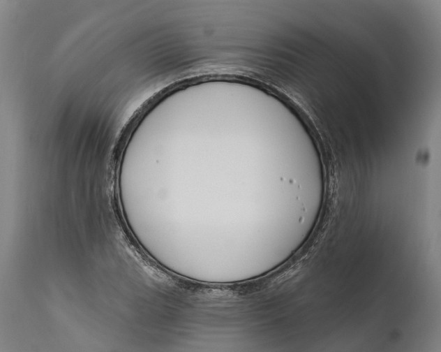 X0000111591119200908061343