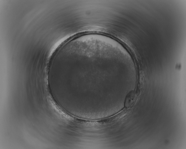 X0000111591120200908061343