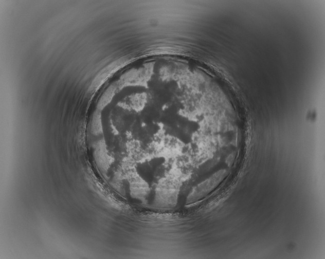 X0000111591121200908061343