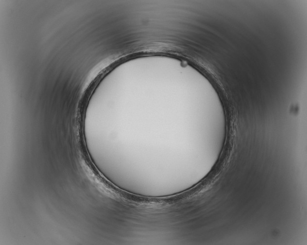 X0000111591122200908061343