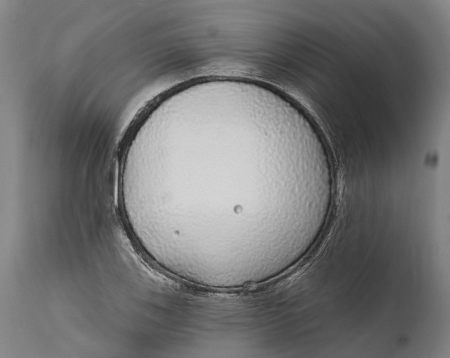 X0000111591123200908061343