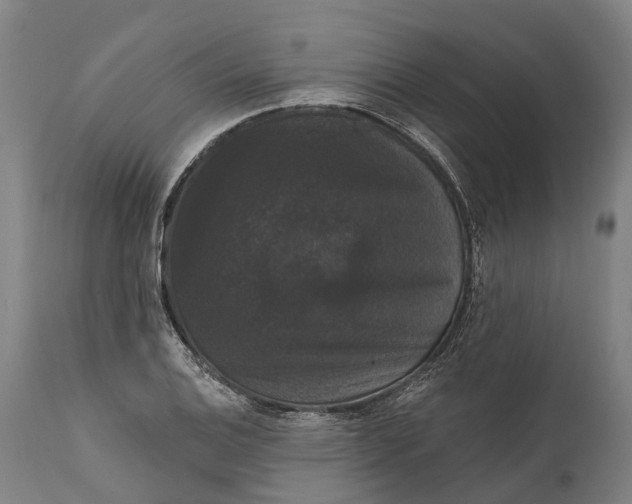 X0000111591124200908061343