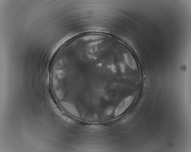 X0000111591125200908061343