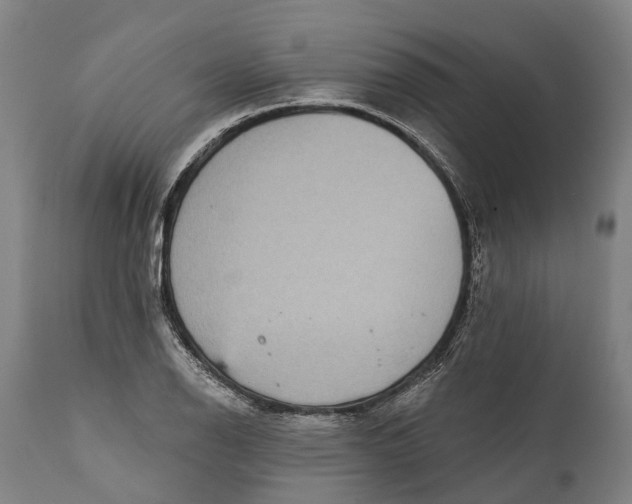 X0000111591126200908061343