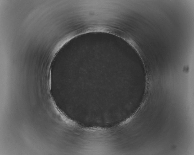 X0000111591127200908061343