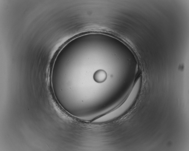 X0000111591128200908061343