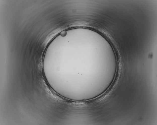 X0000111591129200908061343