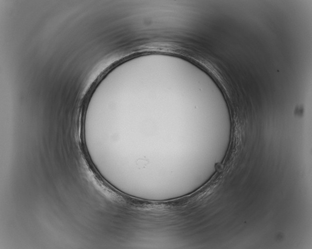 X0000111591131200908061343