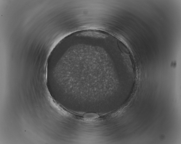 X0000111591132200908061343