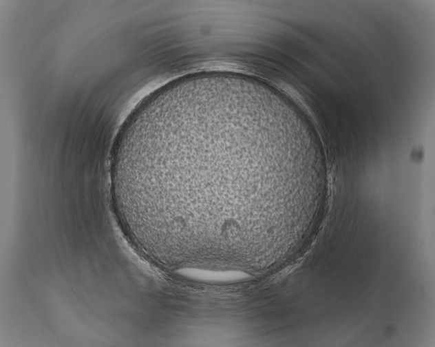 X0000111591133200908061343