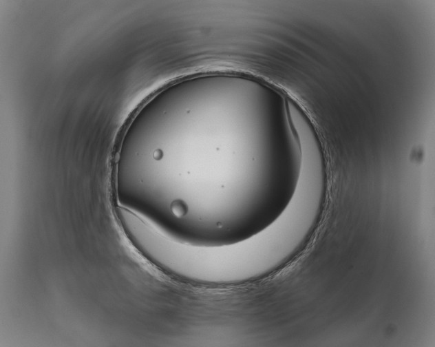 X0000111591134200908061343