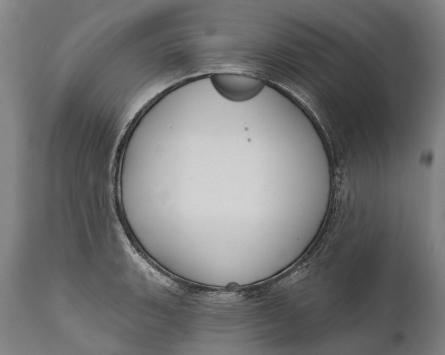 X0000111591135200908061343