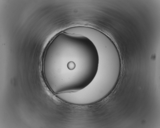 X0000111591136200908061343