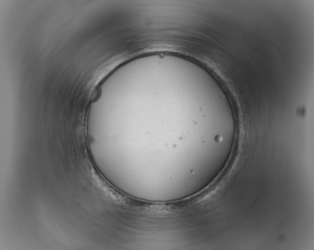 X0000111591137200908061343