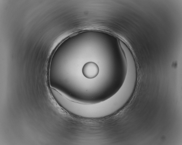 X0000111591138200908061343