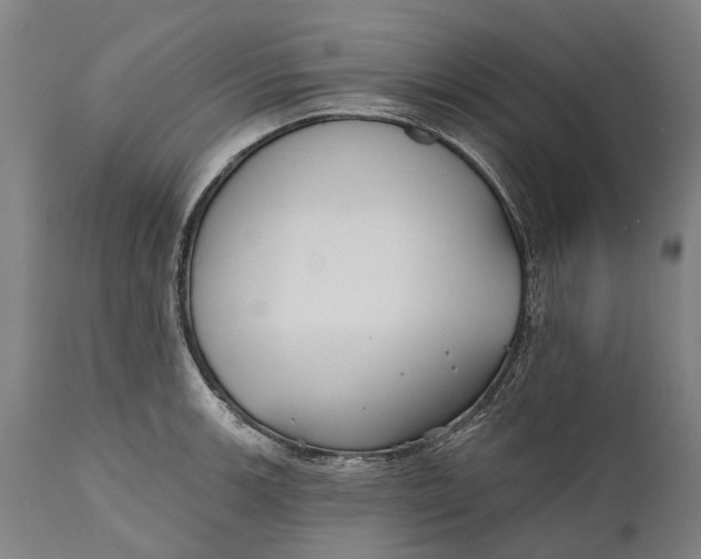 X0000111591139200908061343