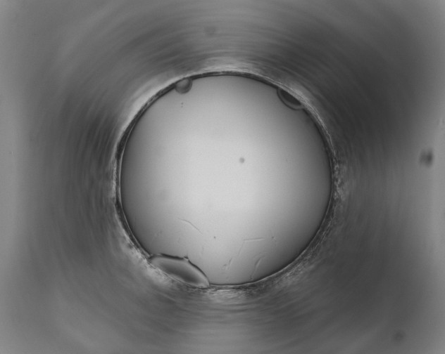 X0000111591140200908061344