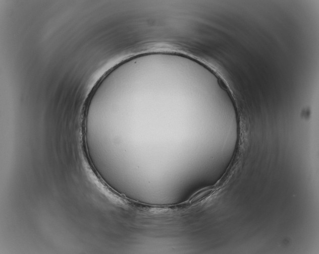 X0000111591142200908061344