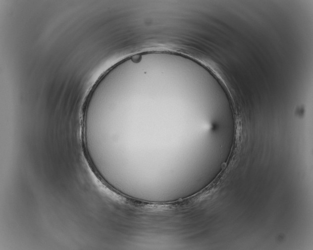 X0000111591143200908061344