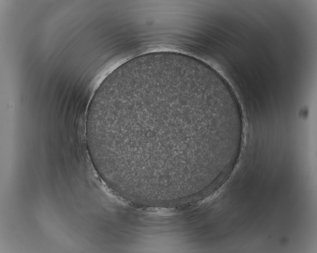 X0000111591145200908061344