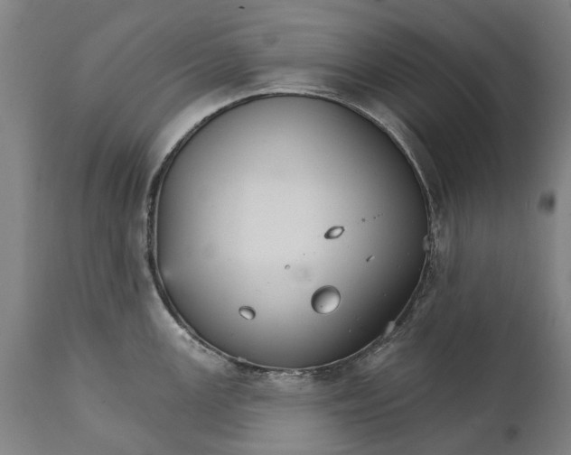 X0000111591147200908061344