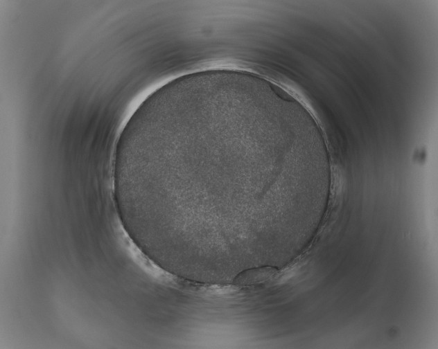 X0000111591148200908061344