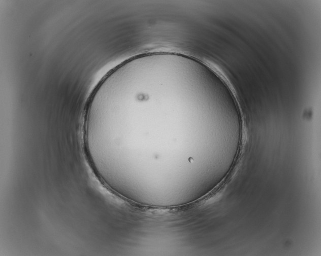 X0000111591149200908061344