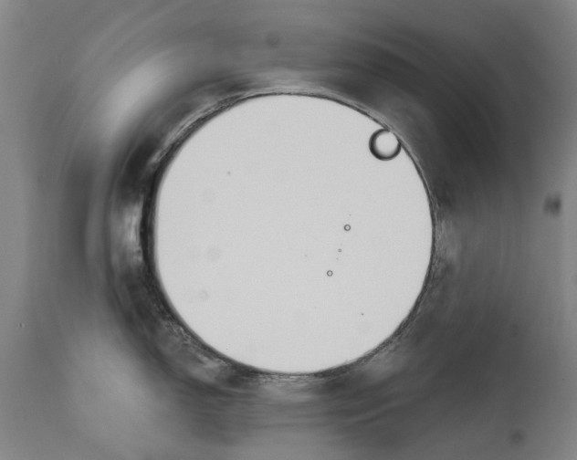 X0000111591150200908061344