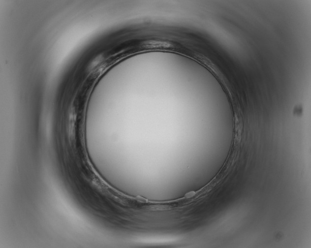 X0000111591151200908061344