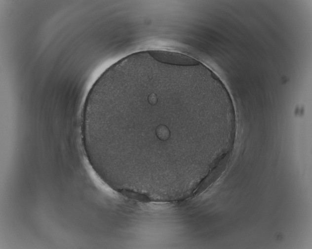 X0000111591152200908061344