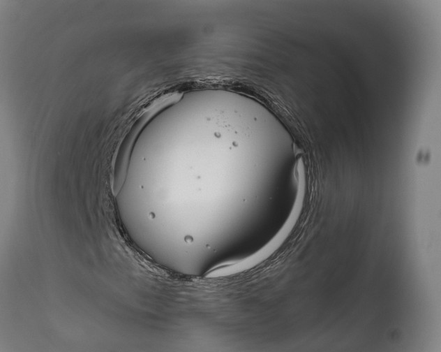 X0000111591153200908061343