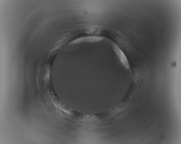 X0000111591154200908061343