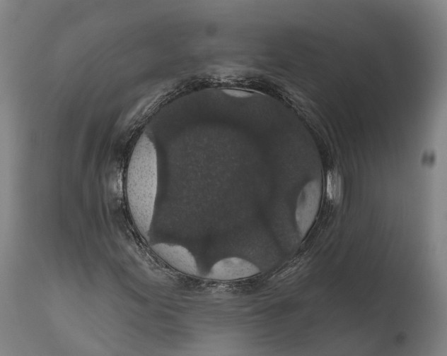 X0000111591155200908061343