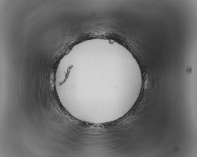 X0000111591156200908061343