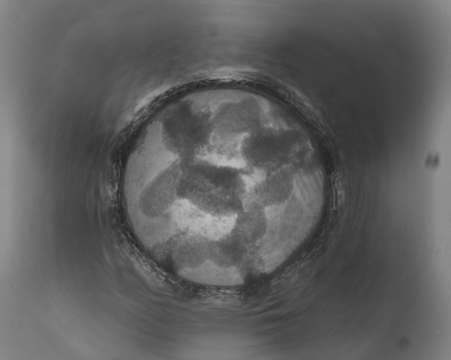 X0000111591158200908061343