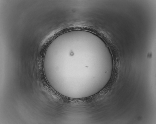 X0000111591159200908061343