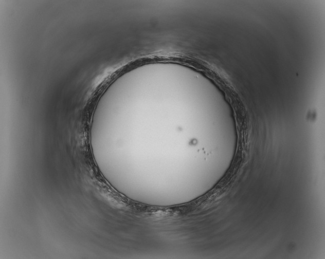 X0000111591160200908061343